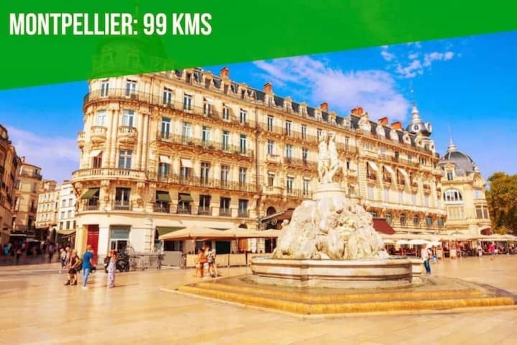 Апартаменты Le Noe - Ac Clim - Wi-Fi Авиньон Экстерьер фото